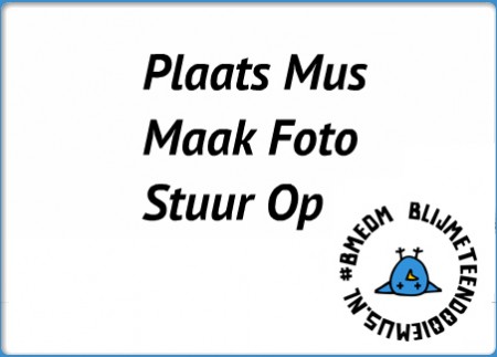 Spelregels Spelregels